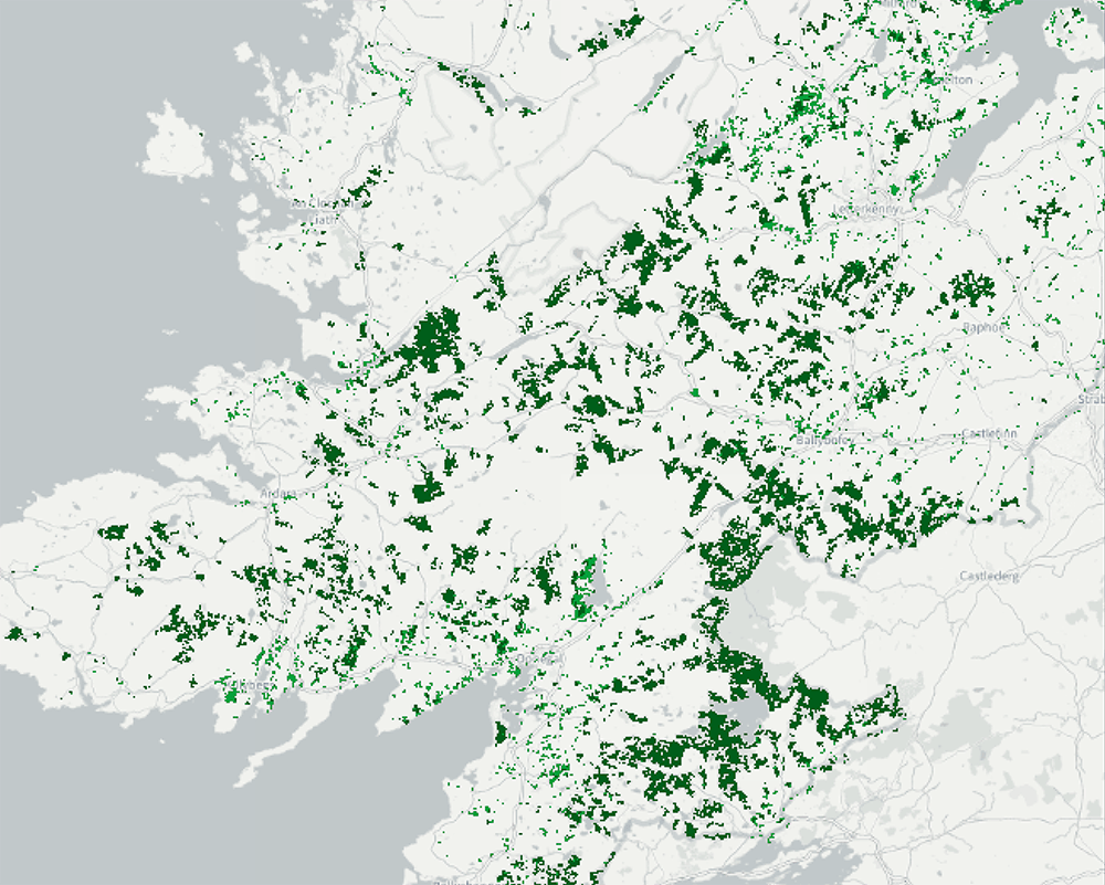 Tree cover density